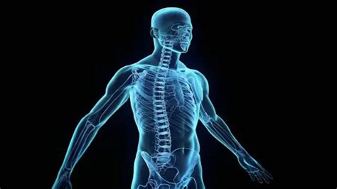 Top 12 Body Part You Didn't Realize Had Names .